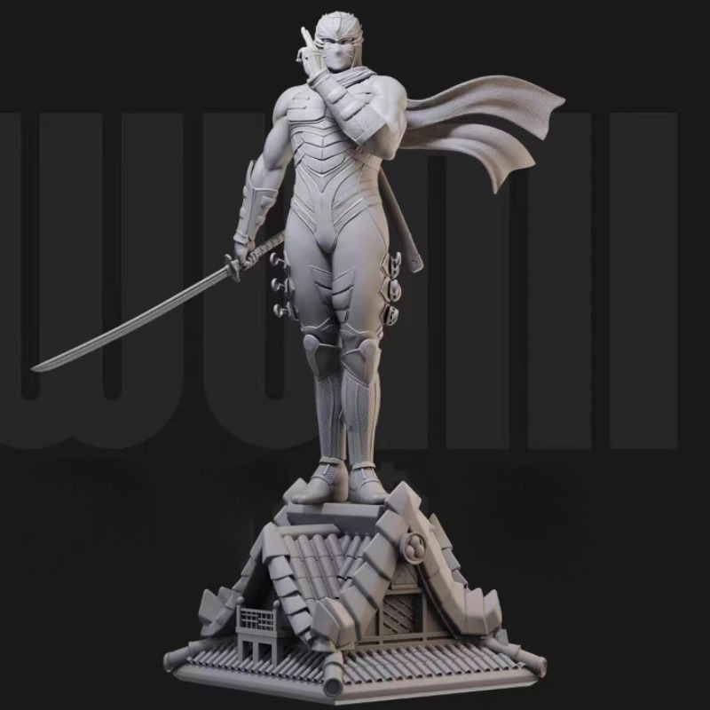 1/24  Miniature Black Robe Nin - Model Kit Baki review and price
