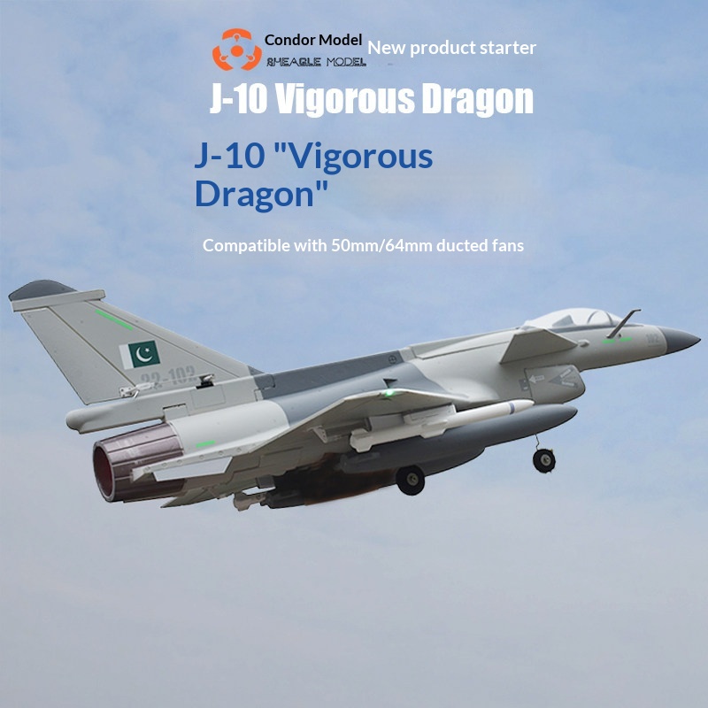SH-EAGLE MODEL J-10 Vigorous D - Model Kit Jet review and price