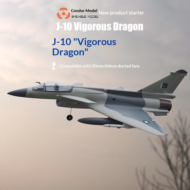 SH-EAGLE MODEL J-10 Vigorous D - Model Kit Jet review and price